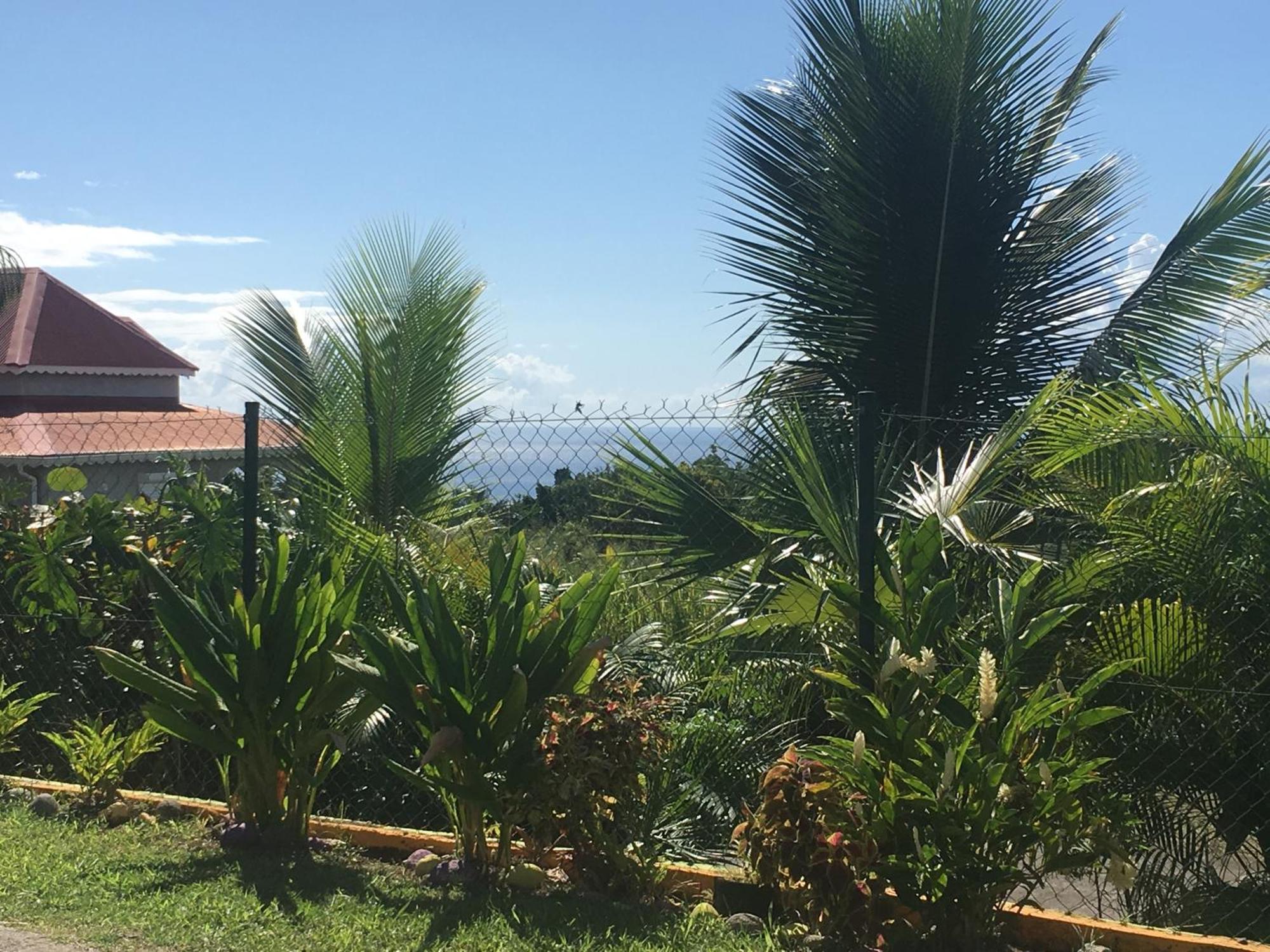 Villa A Rabica - Extrait De Cafe Pointe-Noire Exterior photo